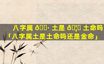 八字属 🌷 土是 🦋 土命吗「八字属土是土命吗还是金命」
